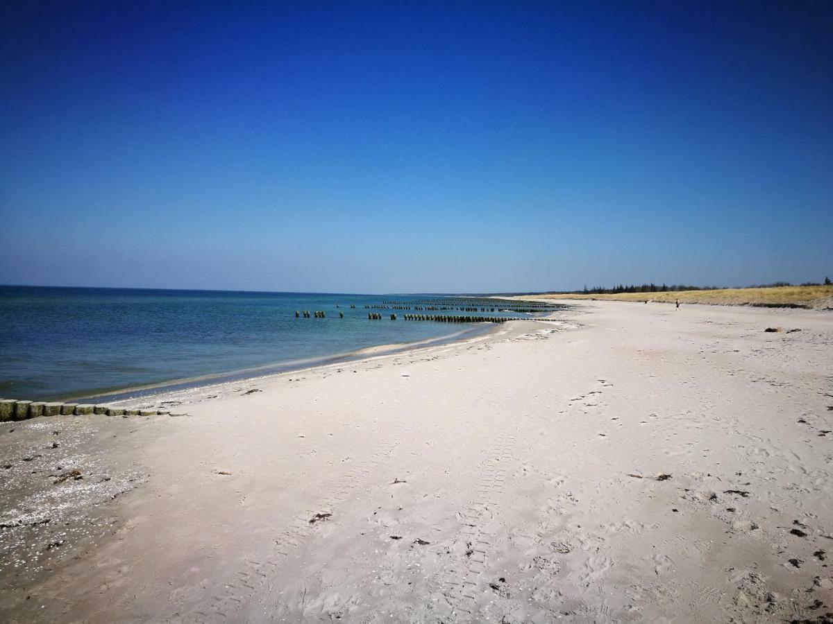 Darsser Strandgut - Haus Ahrenshooper Holz Exterior foto