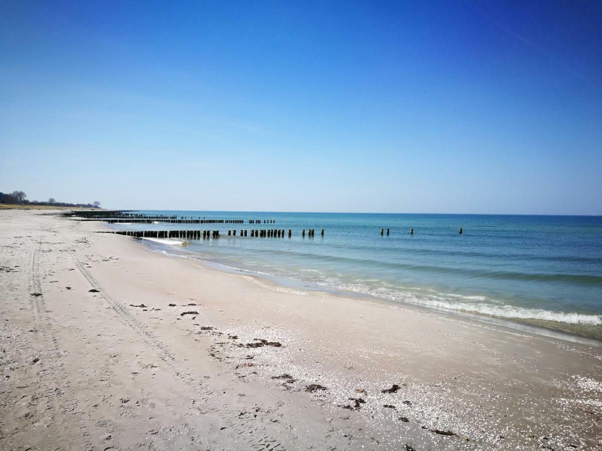 Darsser Strandgut - Haus Ahrenshooper Holz Exterior foto